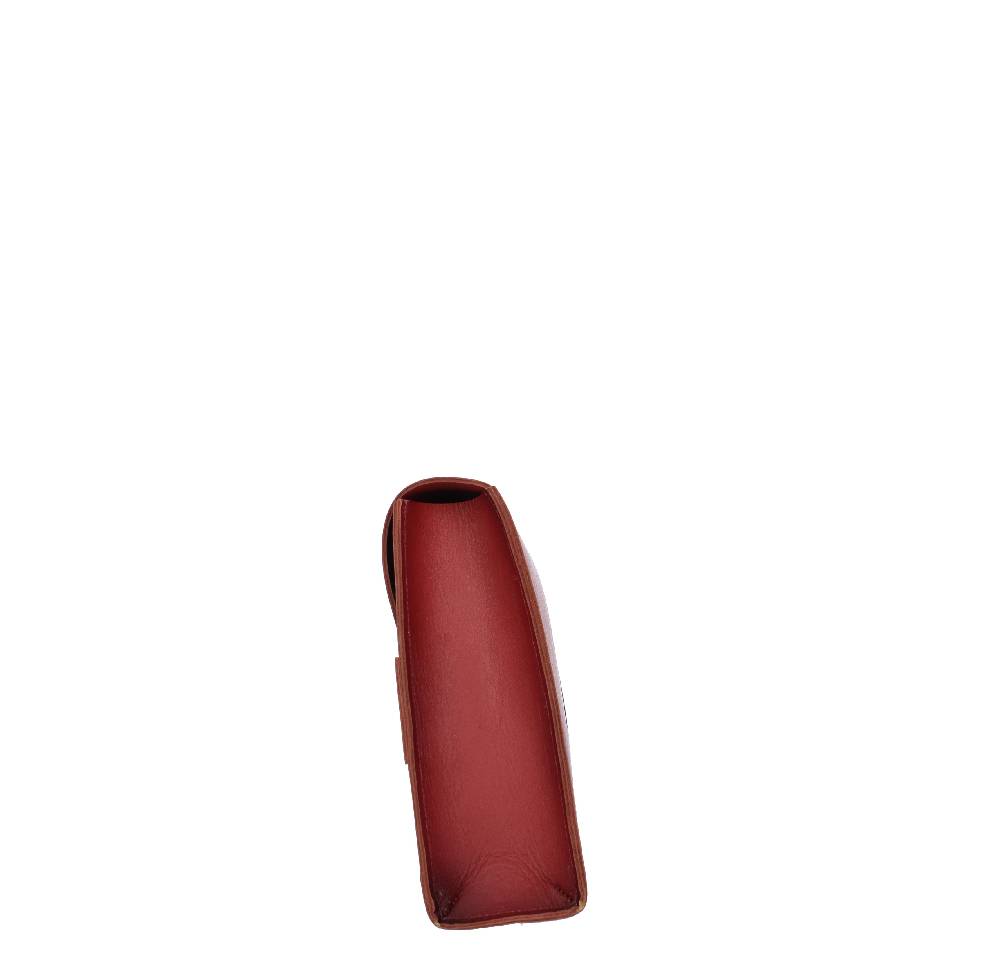 PANTANETTI Kit pulizia modello 00001MA PANTANETTI in pelle Offerta