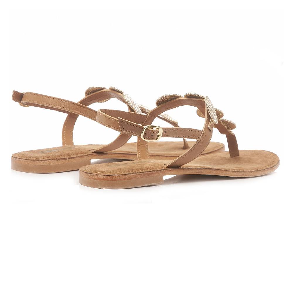 Kammi Catrin 60 Promozione
