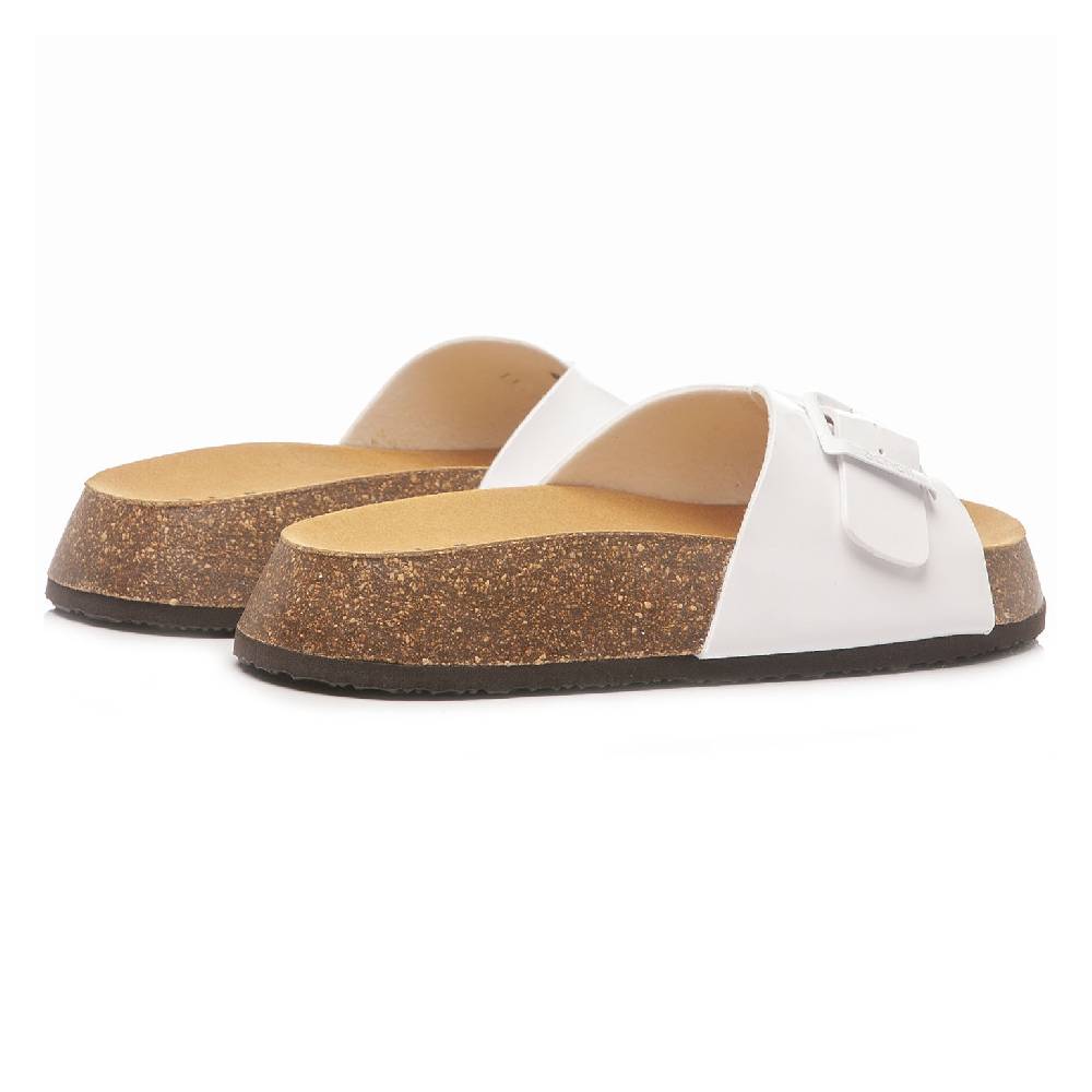 Scholl Kathleen F31147 1065 380 2025