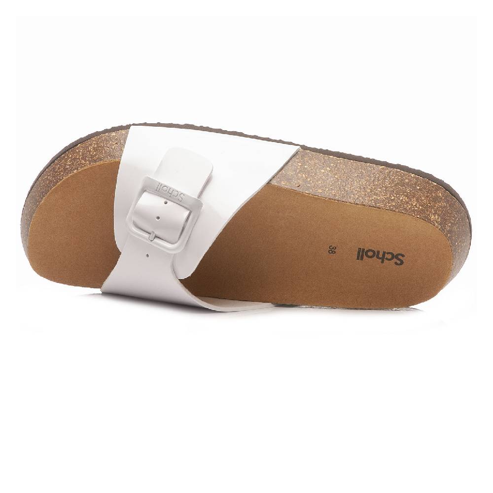 Scholl Kathleen F31147 1065 380 2025