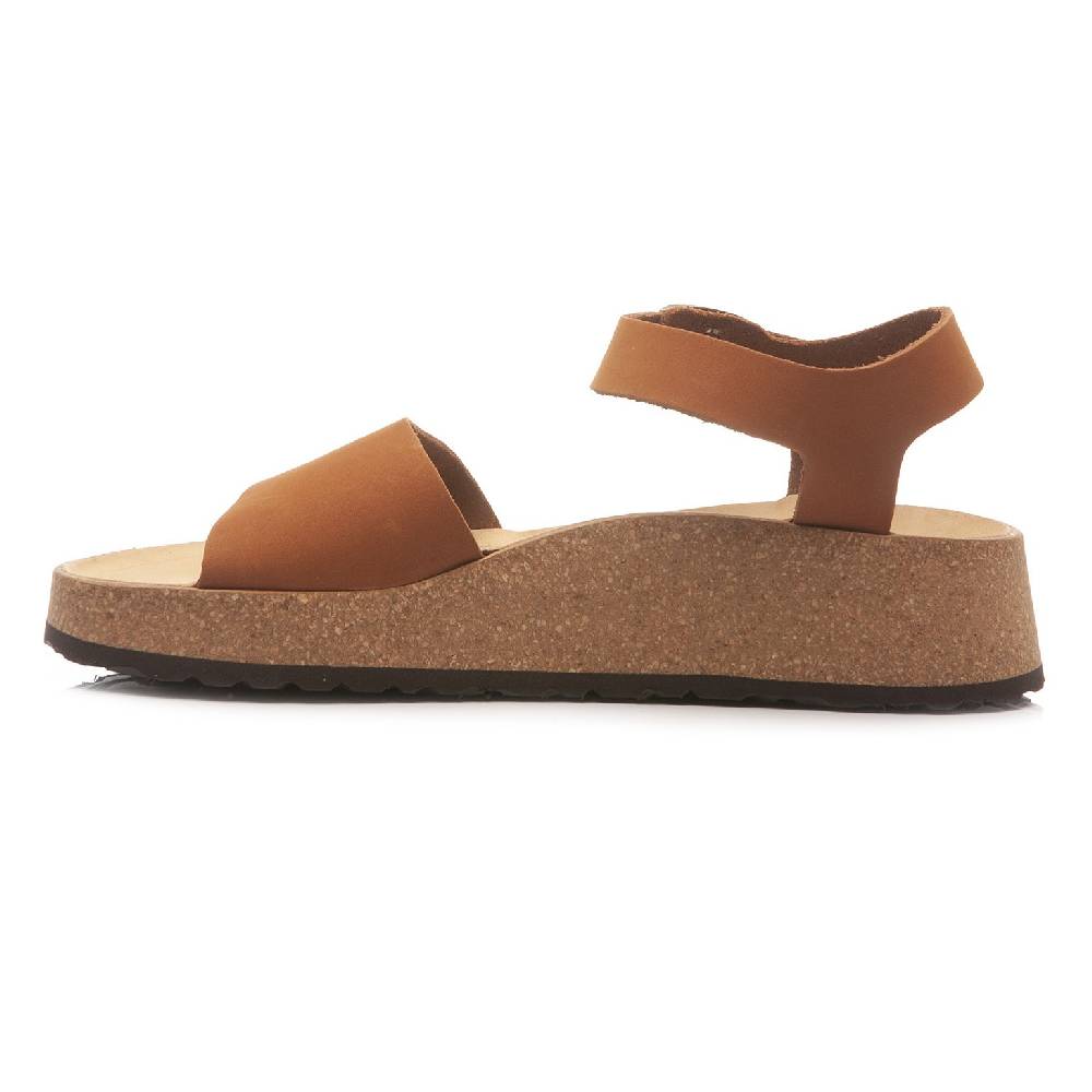 Papillio Glenda 1020042 Italia
