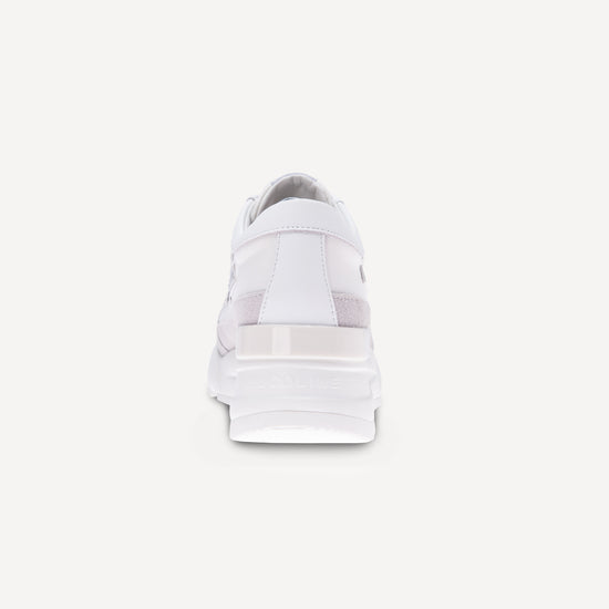 Ruco Line R-EVOLVE 4409 BOMBER Online