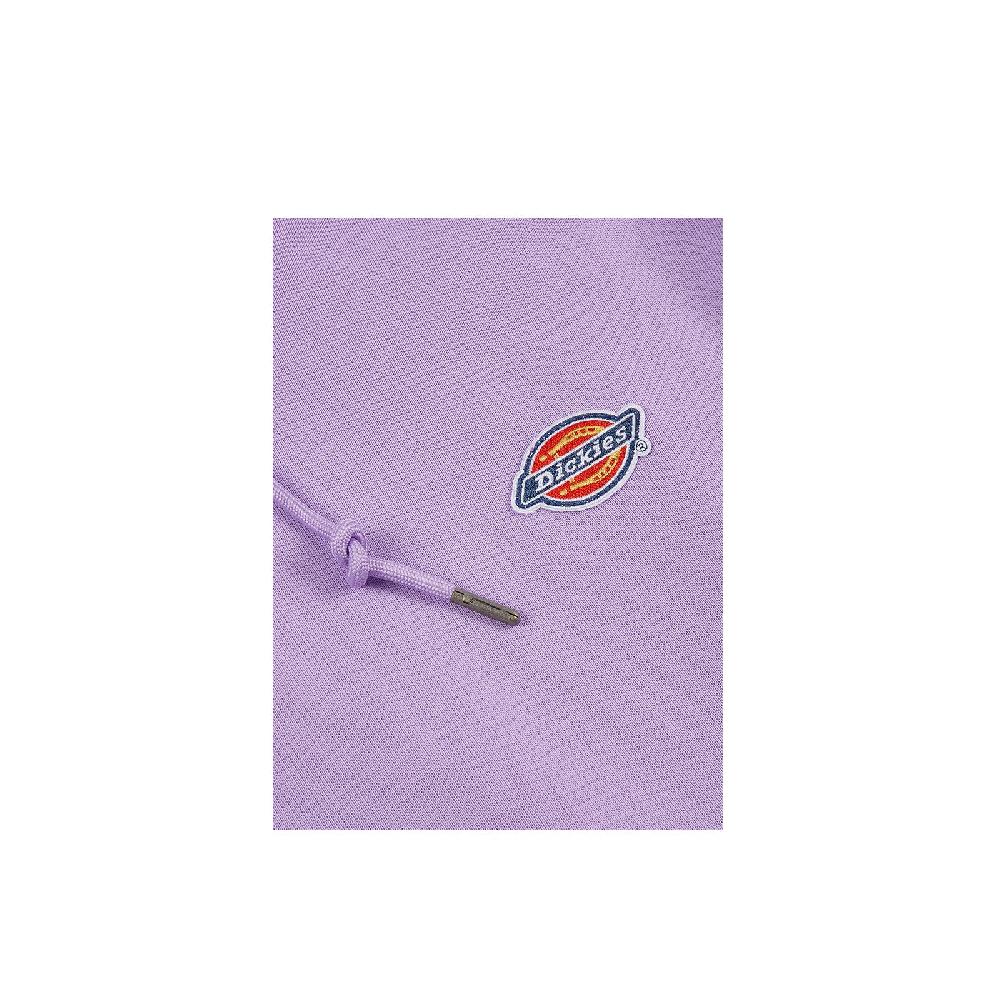 Dickies Millersburg Hoodie Promozione Limitata